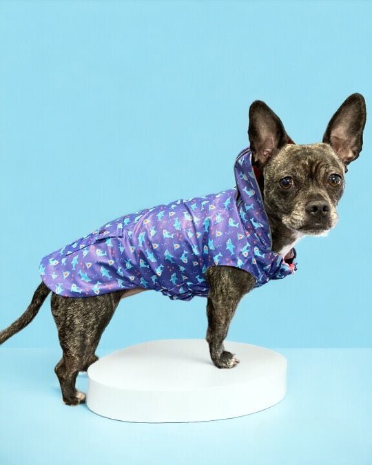 Chomp London Raincoat