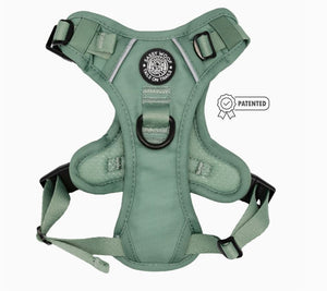 Step-in Dog Harness - Sage