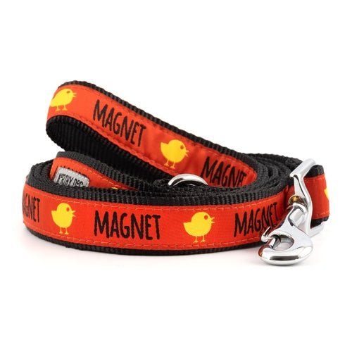 Chick Magnet Collar and Lead Collection