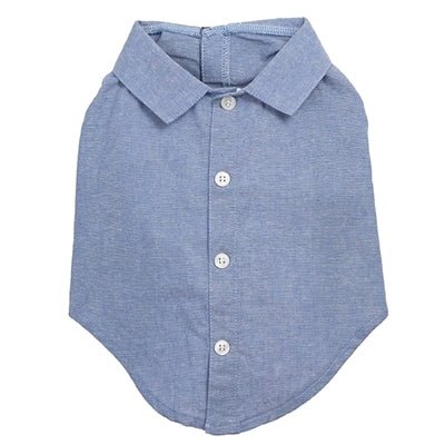 Chambray Shirt