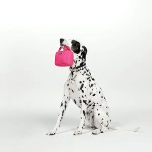 Kate Spade Pink Handbag Toy