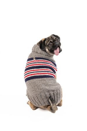 Charlie Stripe Knit Dog Sweater