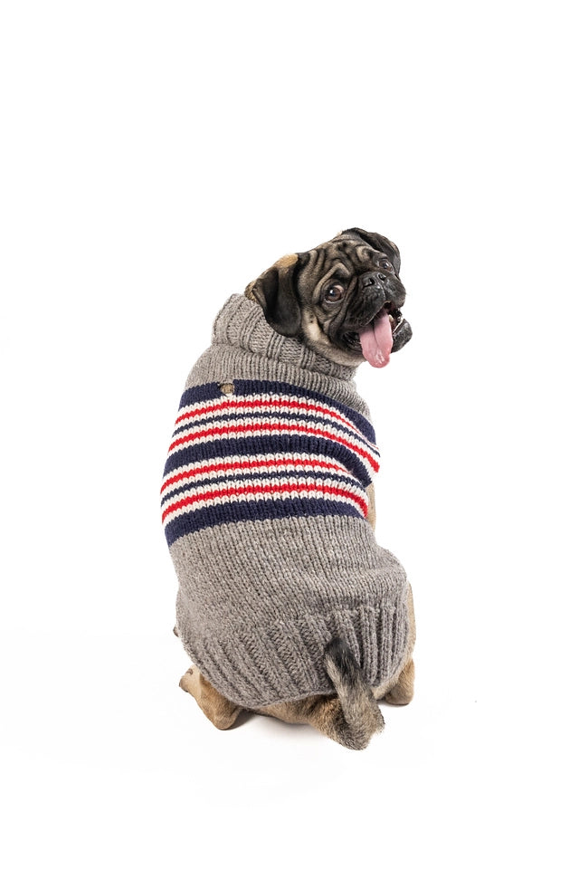 Charlie Stripe Knit Dog Sweater