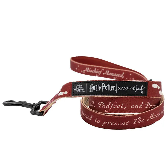 Harry Potter™ Marauder's Map™ Leash