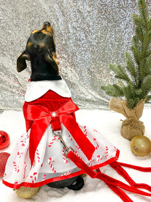 Holiday Dog Harness Dress - Candy Canes