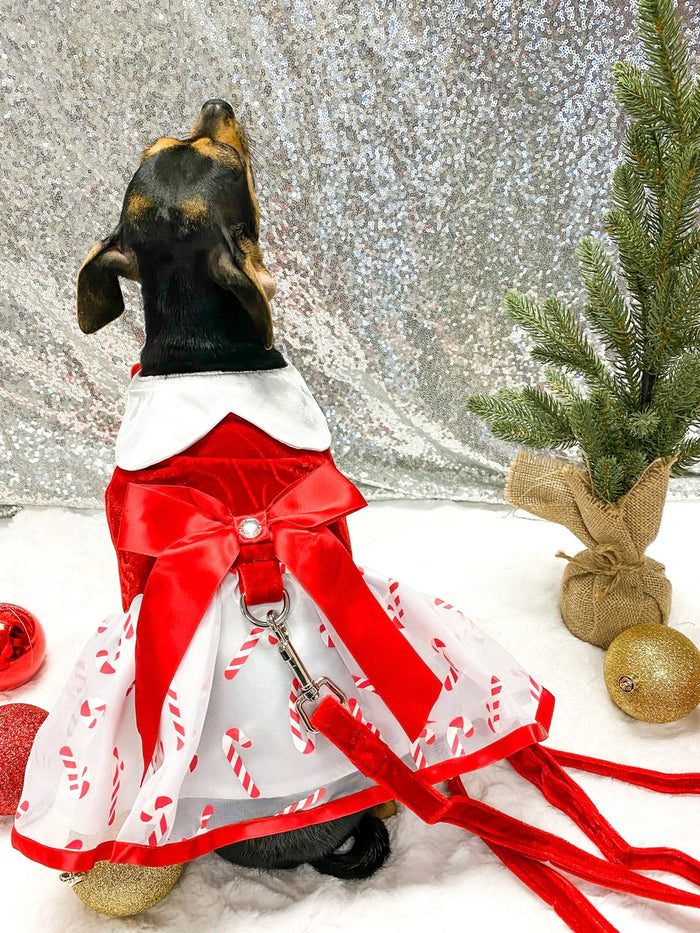 Holiday Dog Harness Dress - Candy Canes