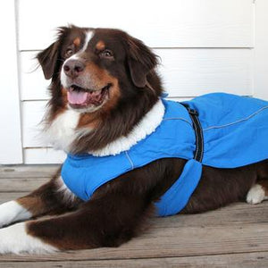 Alpine Tuf Terrain Dog Coat - Mountain Lake