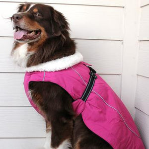 Alpine Tuf Terrain Dog Coat - Wild Raspberry