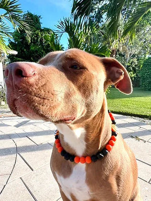 Halloween Jack-O-Lantern Beaded Collar