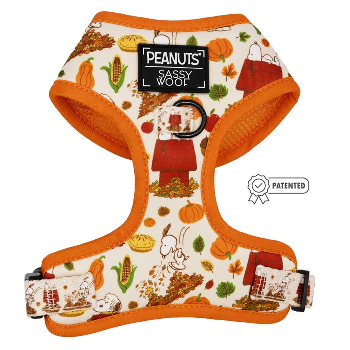 Peanuts™ Harvest Adjustable Harness