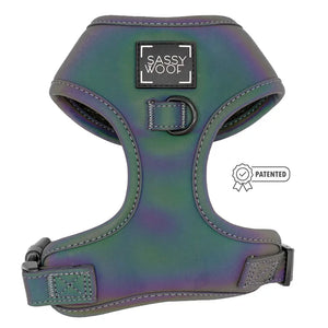 Reflection Adjustable Harness