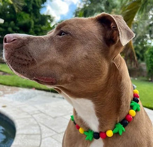Best Buds Beaded Pet Collar - Posh Puppy Boutique