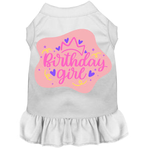 Birthday Girl Dress - Posh Puppy Boutique