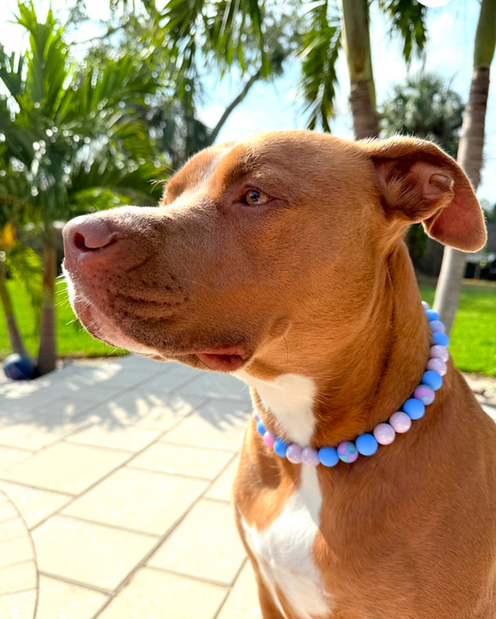 Cosmic Beaded Collar