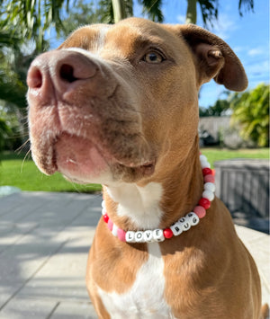 Love Bug Beaded Collar