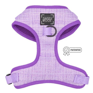 Auroa Adjustable Dog Harness