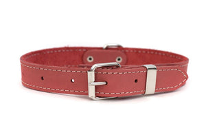 Coral Traditional Buckle Leather Collar - Posh Puppy Boutique