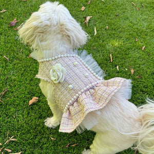 Country Club Pink Tweed - Posh Puppy Boutique