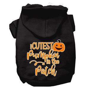 Cutest Pumpkin in the Patch Hoodie - Many Colors - Posh Puppy Boutique