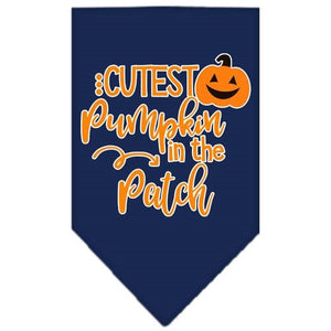 Cutest Pumpkin in the Patch Screen Print Bandana in Many Colors - Posh Puppy Boutique