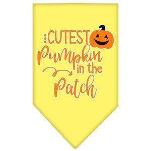 Cutest Pumpkin in the Patch Screen Print Bandana in Many Colors - Posh Puppy Boutique