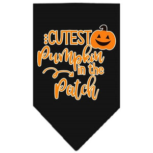 Cutest Pumpkin in the Patch Screen Print Bandana in Many Colors - Posh Puppy Boutique