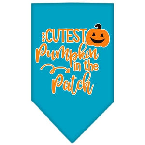 Cutest Pumpkin in the Patch Screen Print Bandana in Many Colors - Posh Puppy Boutique