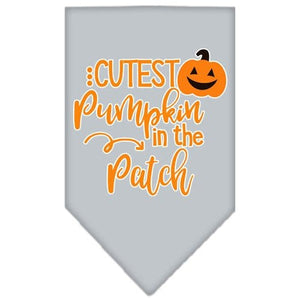 Cutest Pumpkin in the Patch Screen Print Bandana in Many Colors - Posh Puppy Boutique