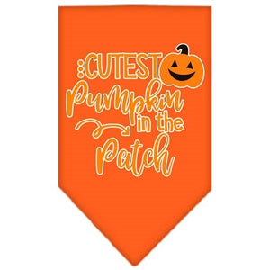 Cutest Pumpkin in the Patch Screen Print Bandana in Many Colors - Posh Puppy Boutique