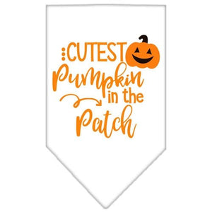 Cutest Pumpkin in the Patch Screen Print Bandana in Many Colors - Posh Puppy Boutique