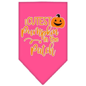 Cutest Pumpkin in the Patch Screen Print Bandana in Many Colors - Posh Puppy Boutique