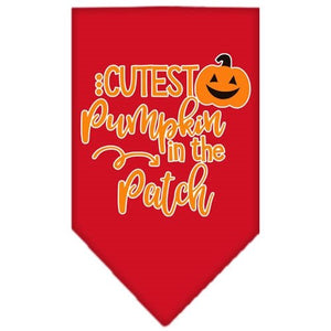 Cutest Pumpkin in the Patch Screen Print Bandana in Many Colors - Posh Puppy Boutique