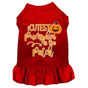 Cutest Pumpkin in the Patch Screen Print Dog Dress in Many Colors - Posh Puppy Boutique