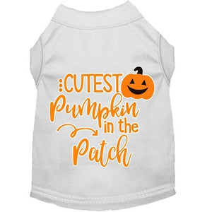 Cutest Pumpkin in the Patch Screen Print Dog Shirt in Many Colors - Posh Puppy Boutique