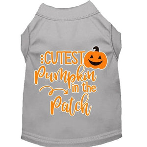 Cutest Pumpkin in the Patch Screen Print Dog Shirt in Many Colors - Posh Puppy Boutique