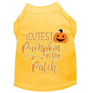 Cutest Pumpkin in the Patch Screen Print Dog Shirt in Many Colors - Posh Puppy Boutique