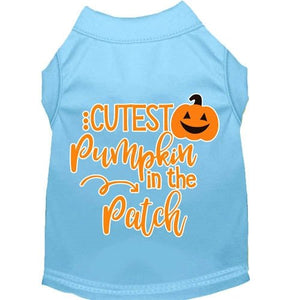 Cutest Pumpkin in the Patch Screen Print Dog Shirt in Many Colors - Posh Puppy Boutique