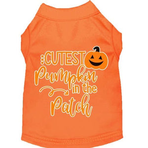 Cutest Pumpkin in the Patch Screen Print Dog Shirt in Many Colors - Posh Puppy Boutique