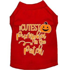 Cutest Pumpkin in the Patch Screen Print Dog Shirt in Many Colors - Posh Puppy Boutique