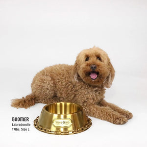 Deluxe Gold Pet Bowl - Off the Chain - Posh Puppy Boutique