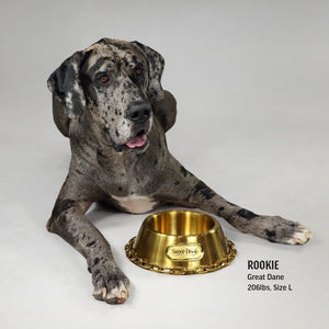 Deluxe Gold Pet Bowl - Off the Chain - Posh Puppy Boutique