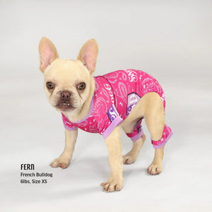 Deluxe Pet PJs - Boss Lady - Posh Puppy Boutique