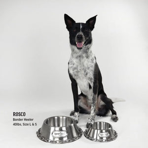 Deluxe Silver Pet Bowl - Off The Chain - Posh Puppy Boutique