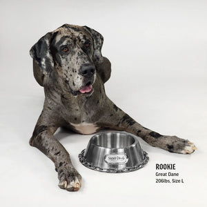 Deluxe Silver Pet Bowl - Off The Chain - Posh Puppy Boutique