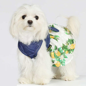 Denim Lemon Dress - Posh Puppy Boutique