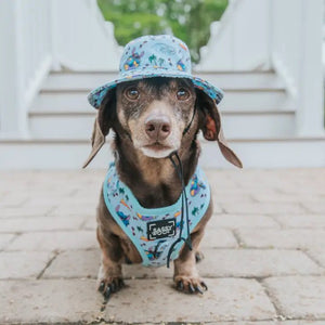 Dog Bucket Hat - Disney's Stitch - Posh Puppy Boutique