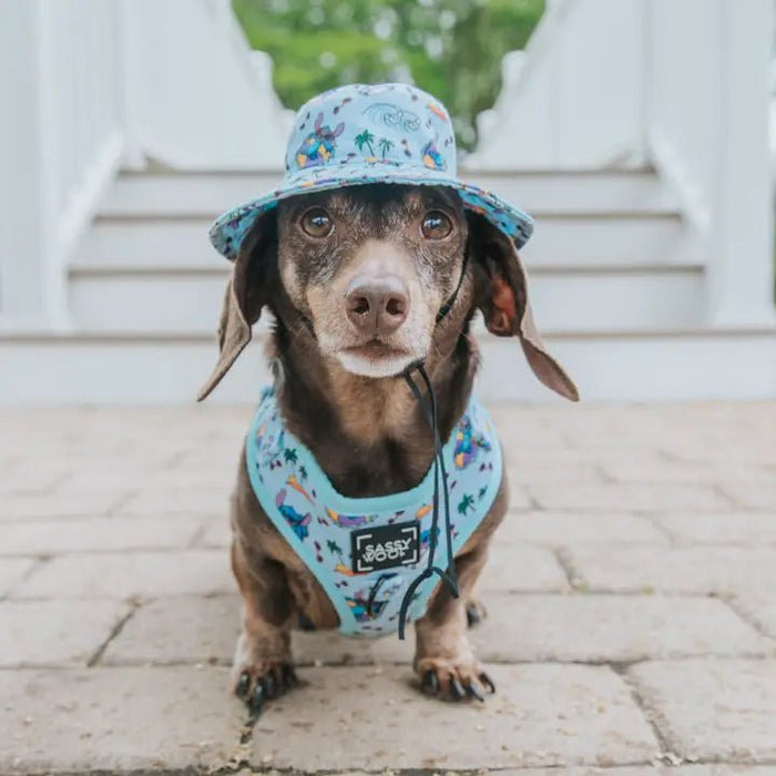 Dog Bucket Hat Disney s Stitch Posh Puppy Boutique