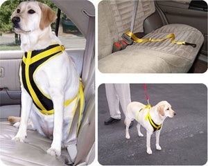 Puppy Car Accessories Posh Puppy Boutique