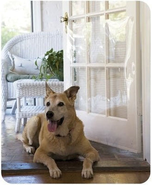 Door Shield - Posh Puppy Boutique