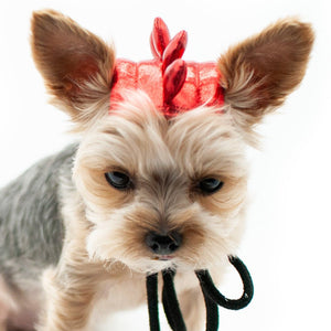 Dragon Hat - Posh Puppy Boutique